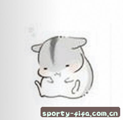 赵敏
